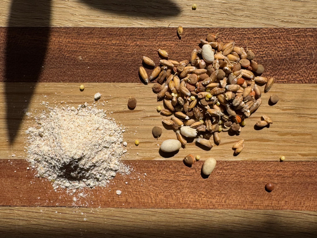 NEW Light Seeded Sourdough Ezekiel Bread