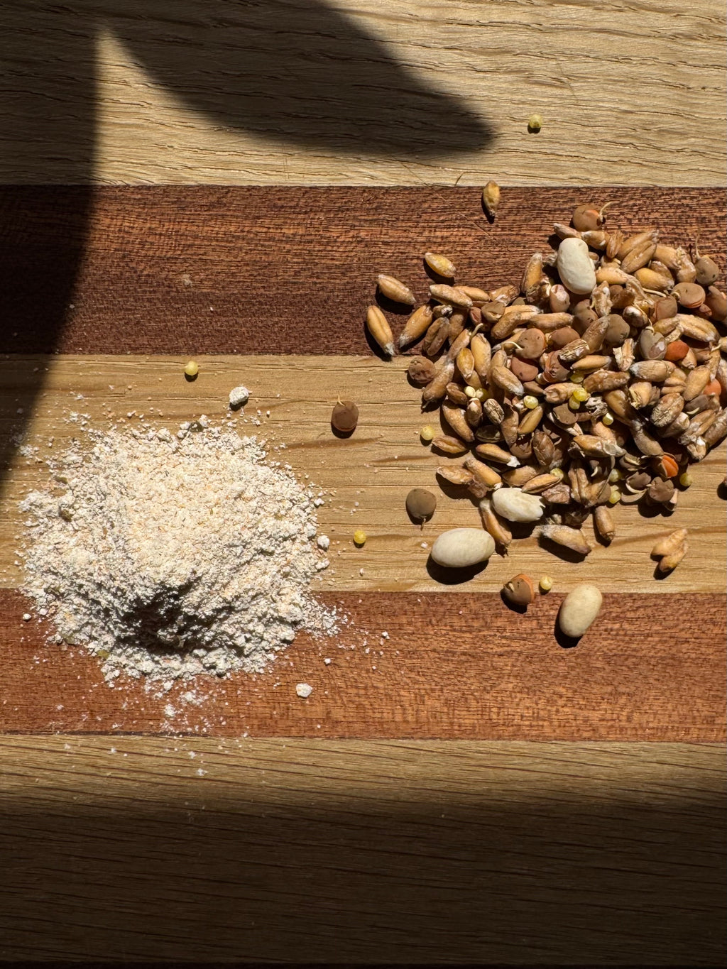 Fresh Milled Ezekiel Flour
