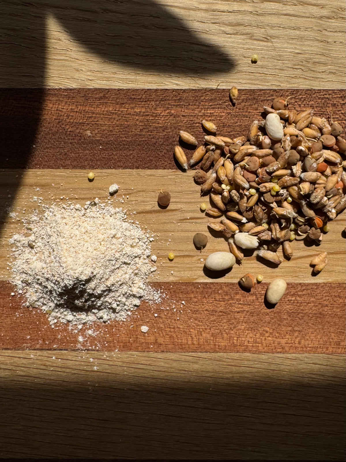 Fresh Milled Ezekiel Flour