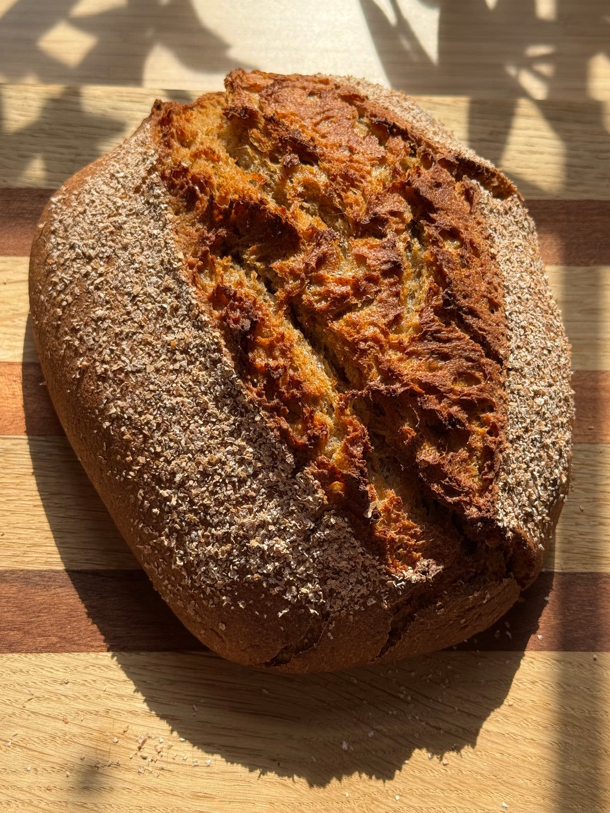 NEW Light Sourdough Ezekiel Bread